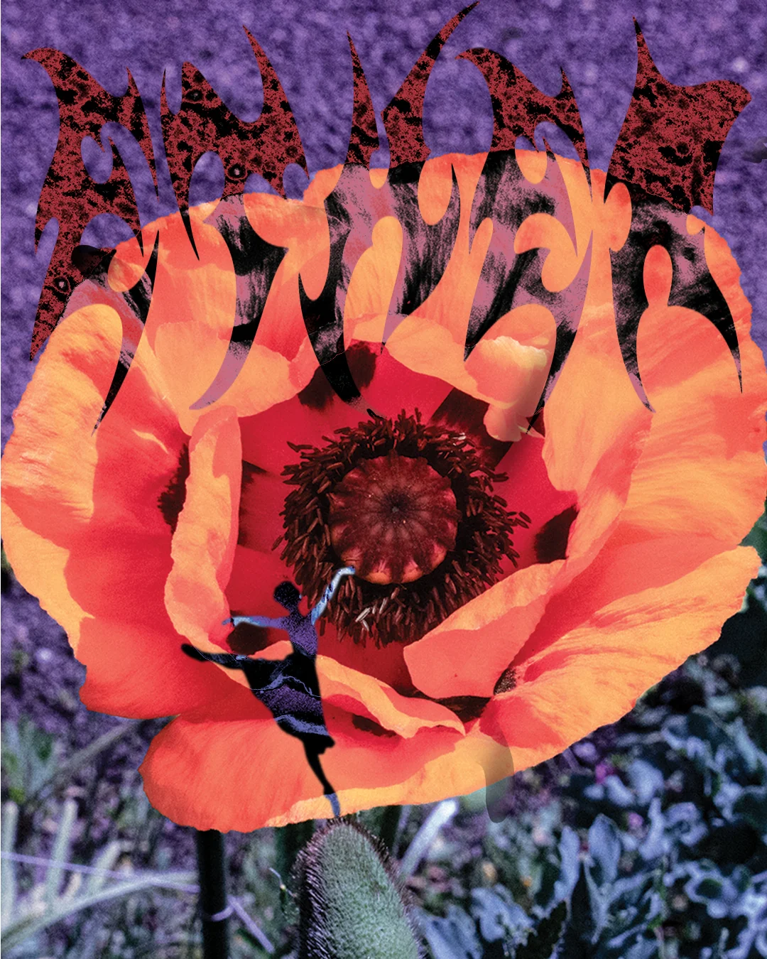 3a