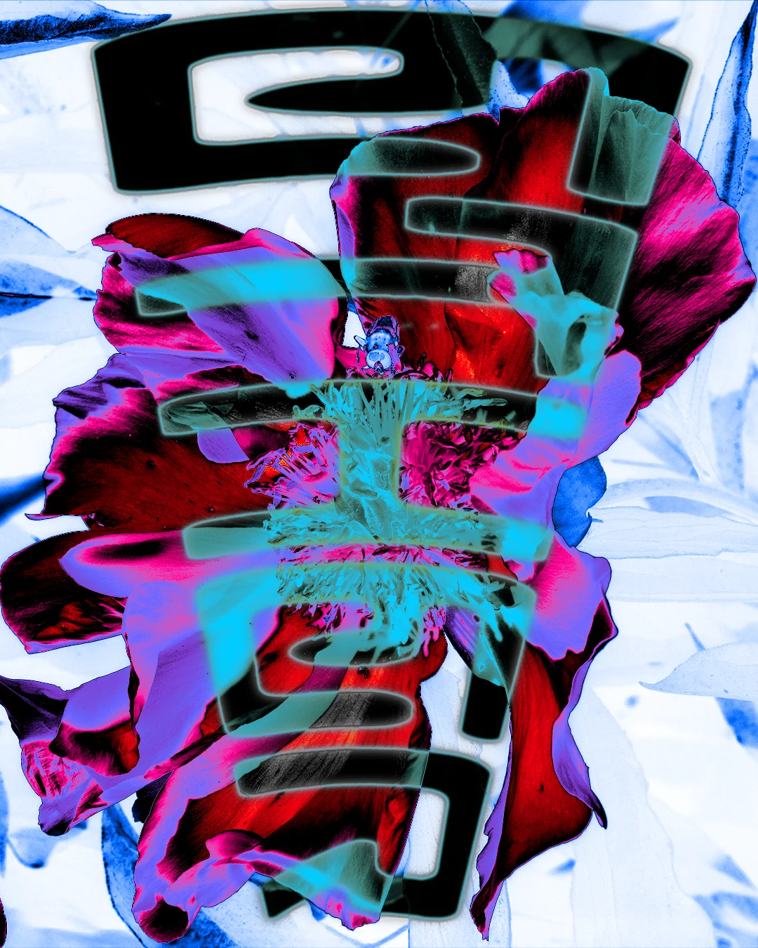 3b